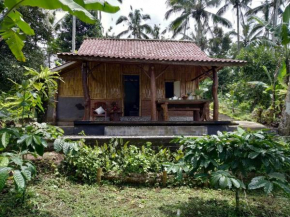 Bali mountain forest cabin